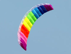 HOT SELL New 2.7m  Dual Line  Power Parafoil Kite Boarding / Surfing So Exciting and Good Flying