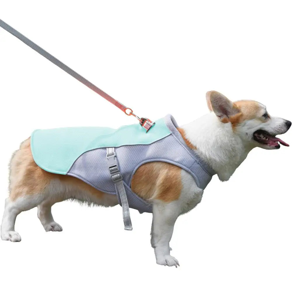 Pet Cooler Vest Dog Summer Cooler Pet Cooling Jacket Cooling Clothing Pet Dogs Health Supplies For Exercise Mountaineering