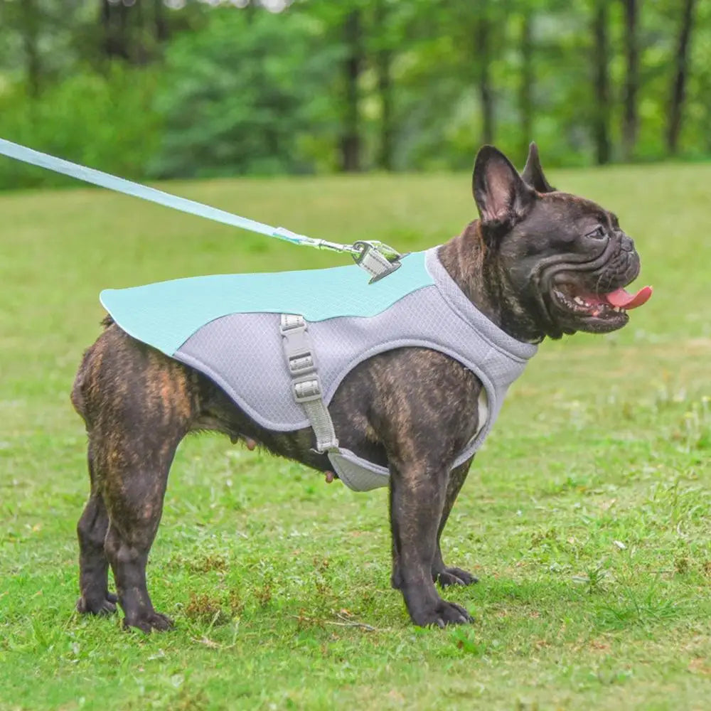 Pet Cooler Vest Dog Summer Cooler Pet Cooling Jacket Cooling Clothing Pet Dogs Health Supplies For Exercise Mountaineering