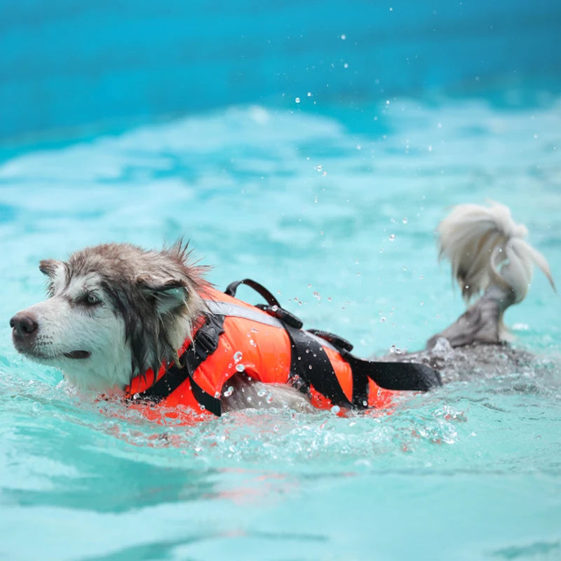 Dogs Life Jacket Ripstop Safety Dog Swimming Vest Superior Buoyancy Dogs Jacket With Rescue Handle Pet Dog Life-Saving Clothes